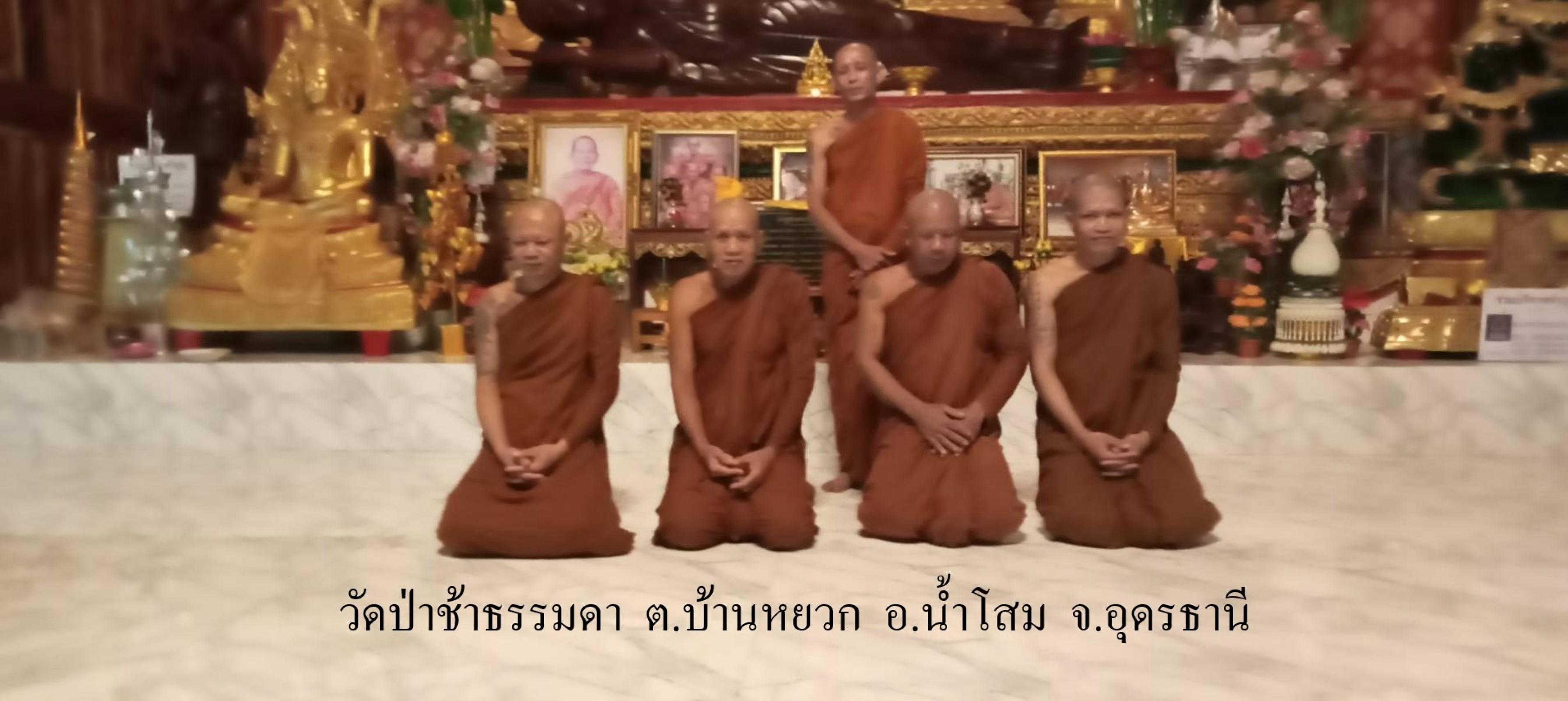 วัดป่าช้าธรรมดา