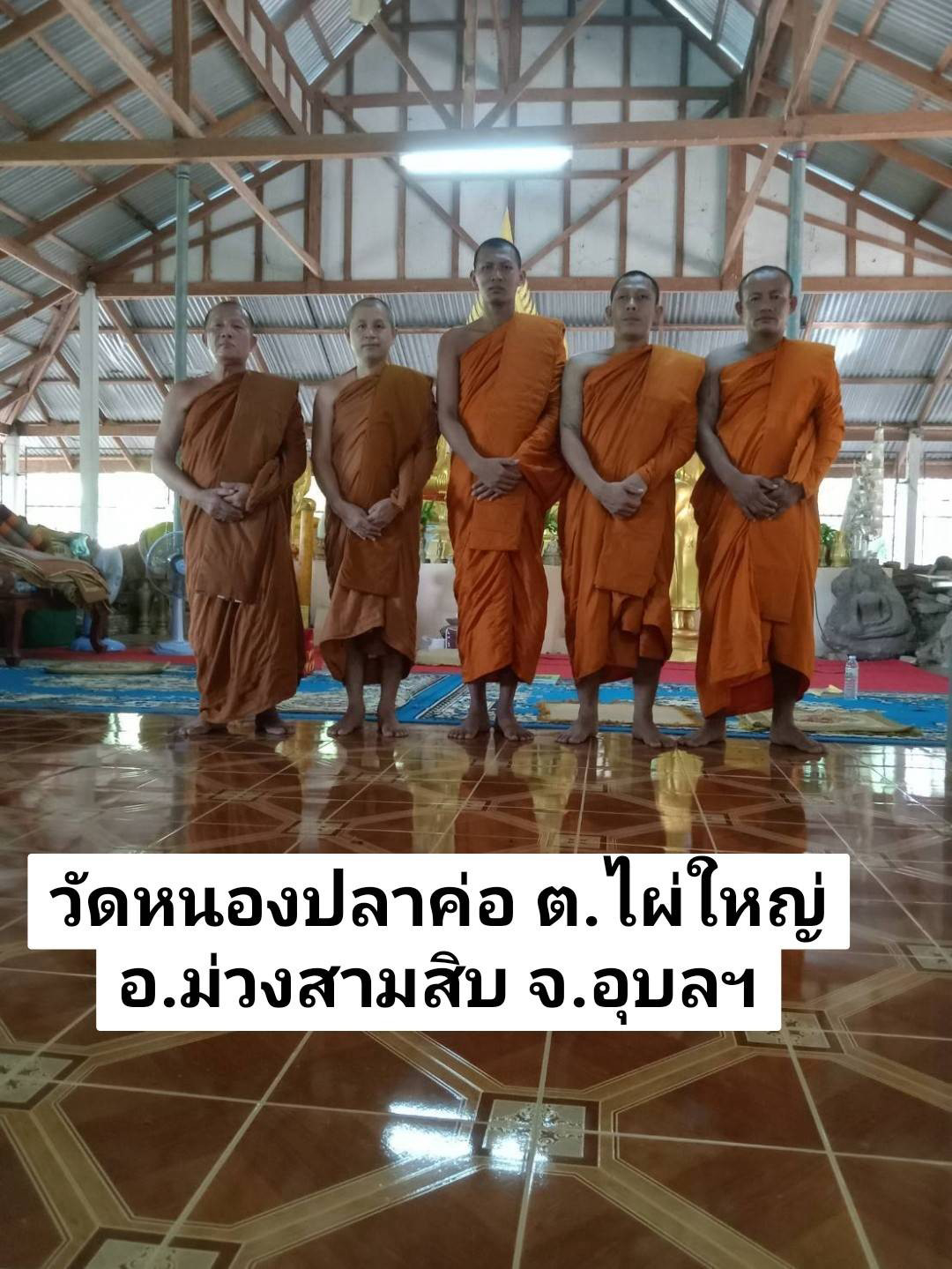 วัดหนองปลาค่อ