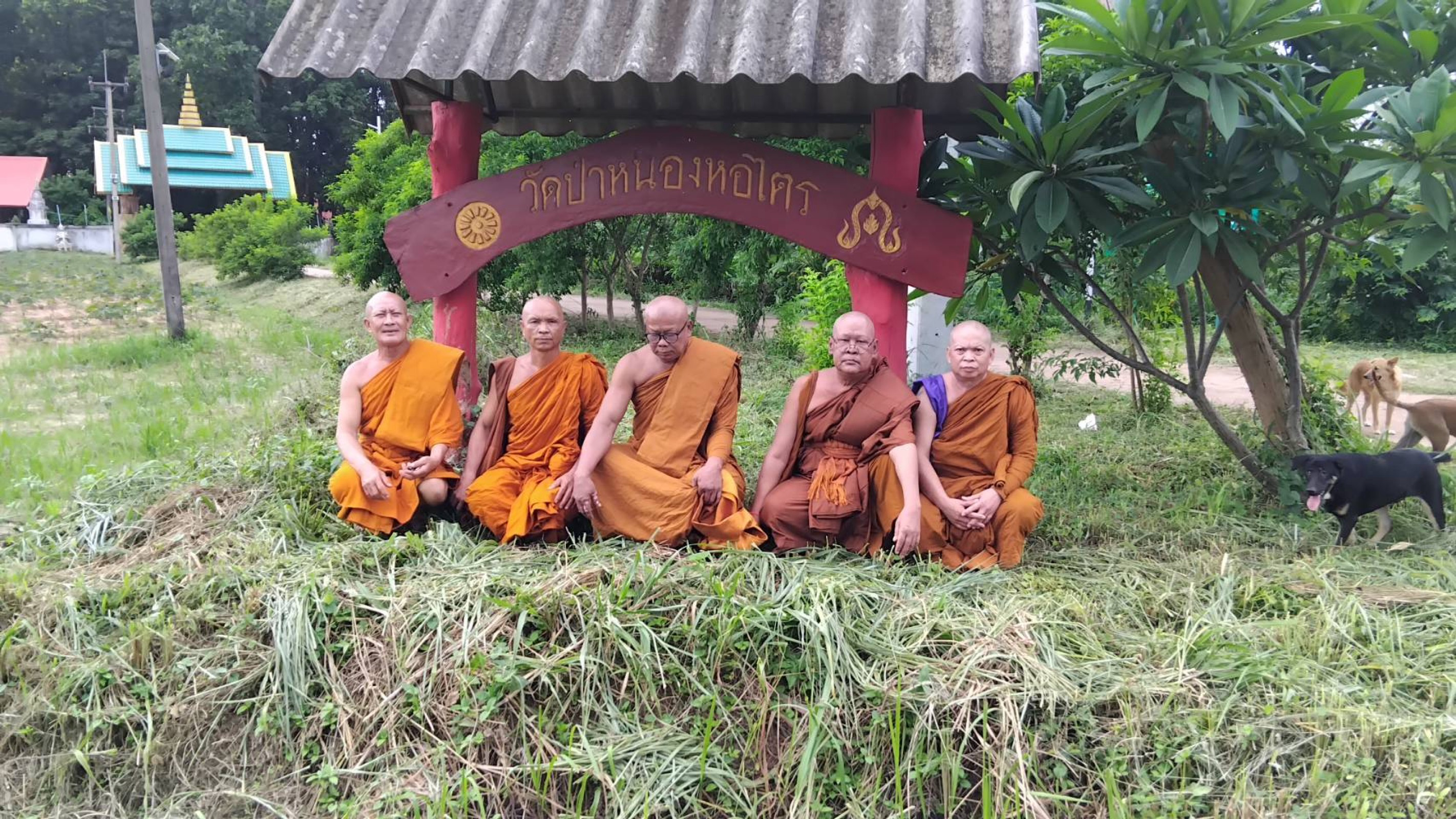 วัดป่าหนองหอไตร
