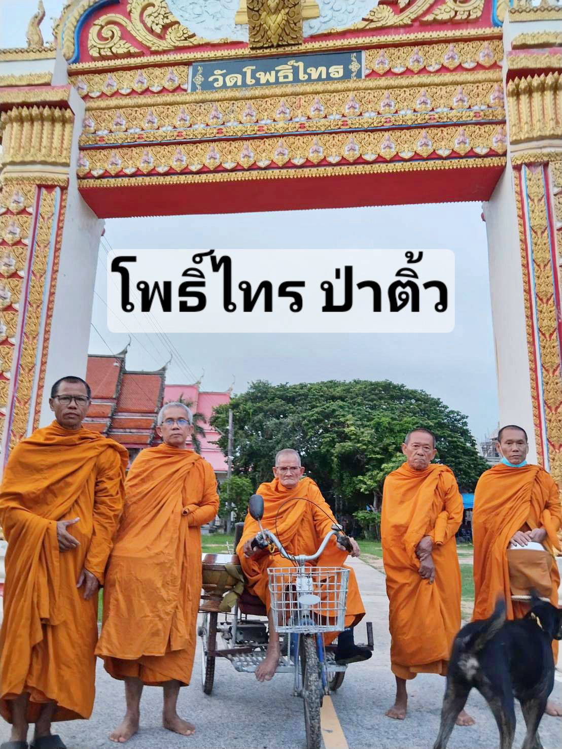 วัดโพธิ์ไทร