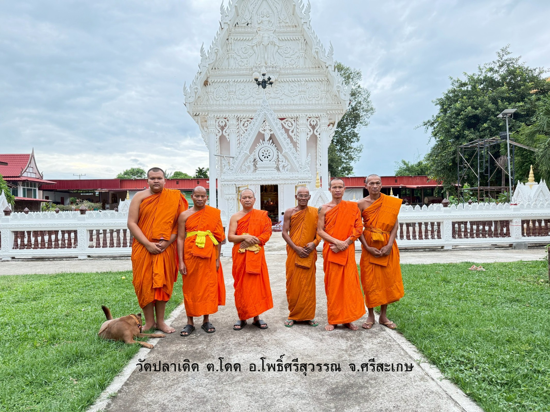 วัดปลาเดิด