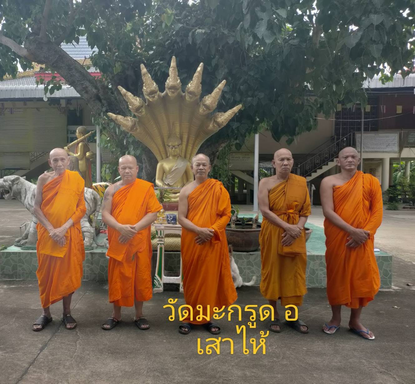 วัดมะกรูด
