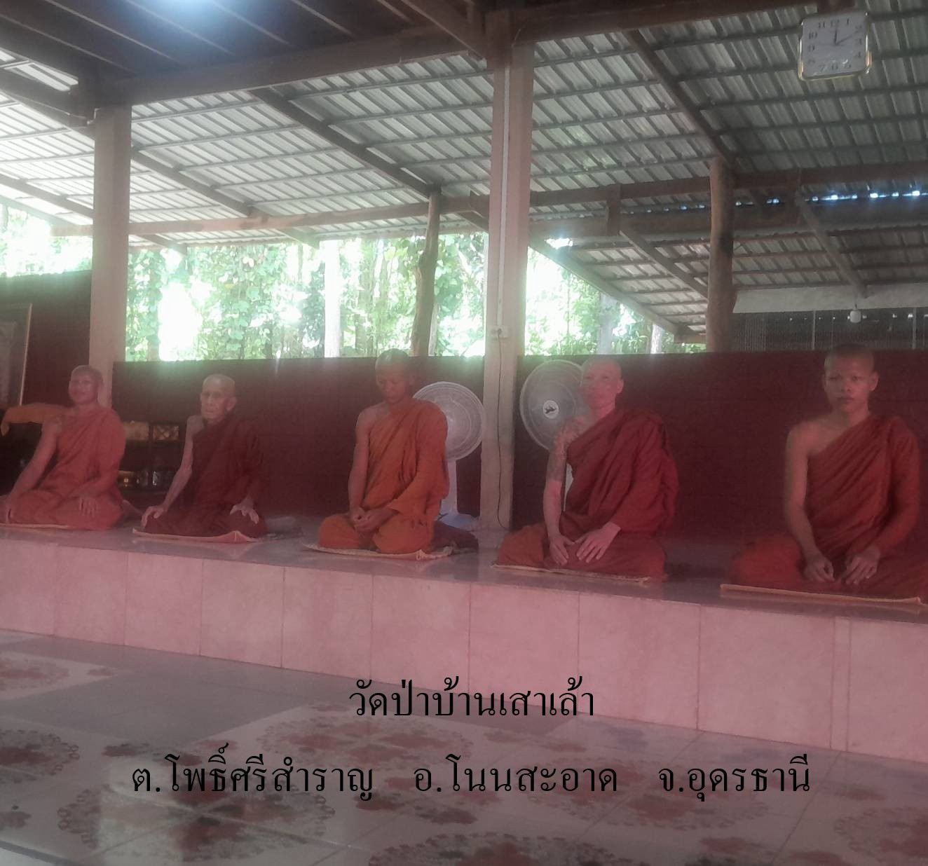 วัดป่าบ้านเสาเล้า
