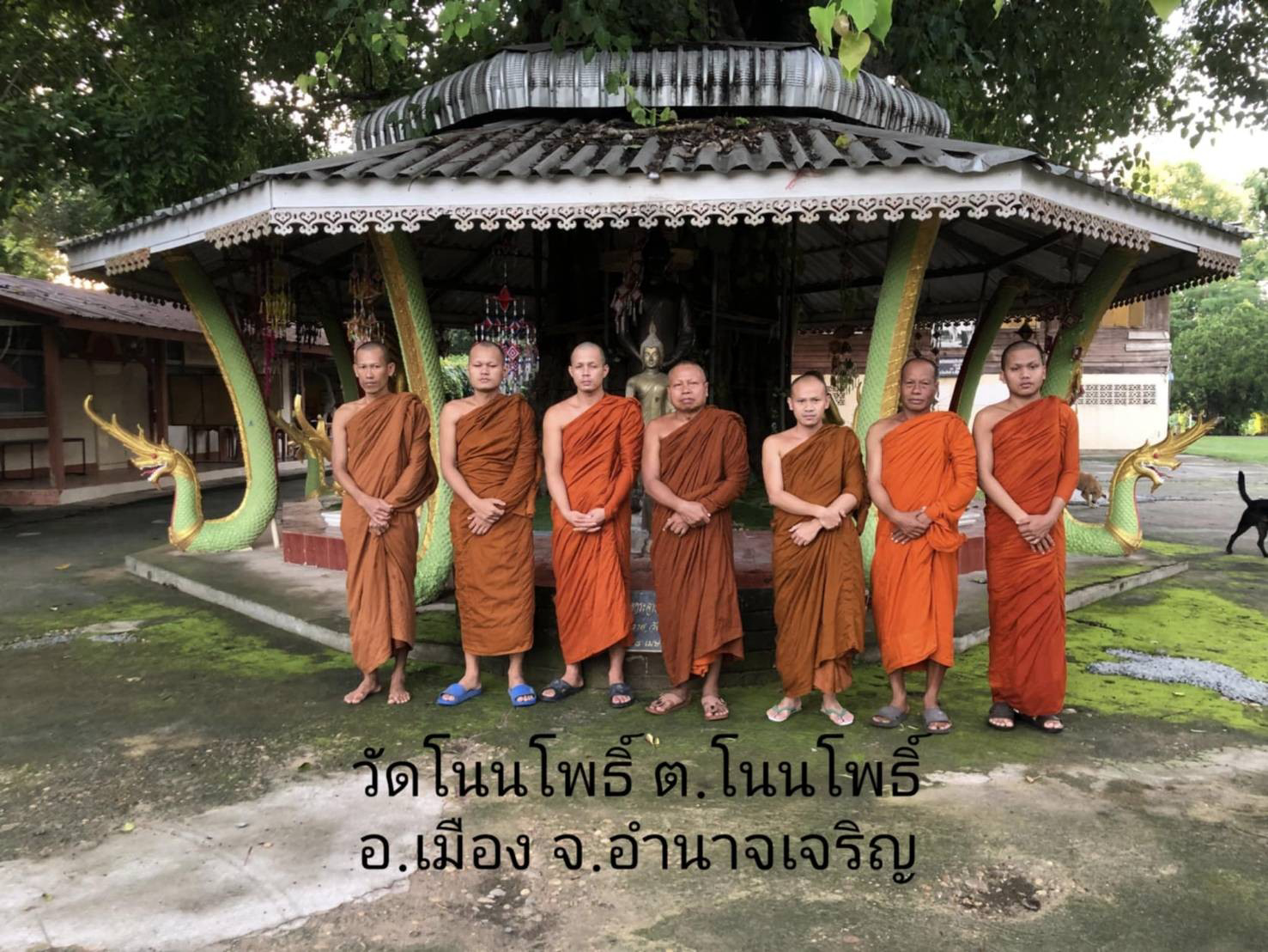 วัดโนนโพธิ์