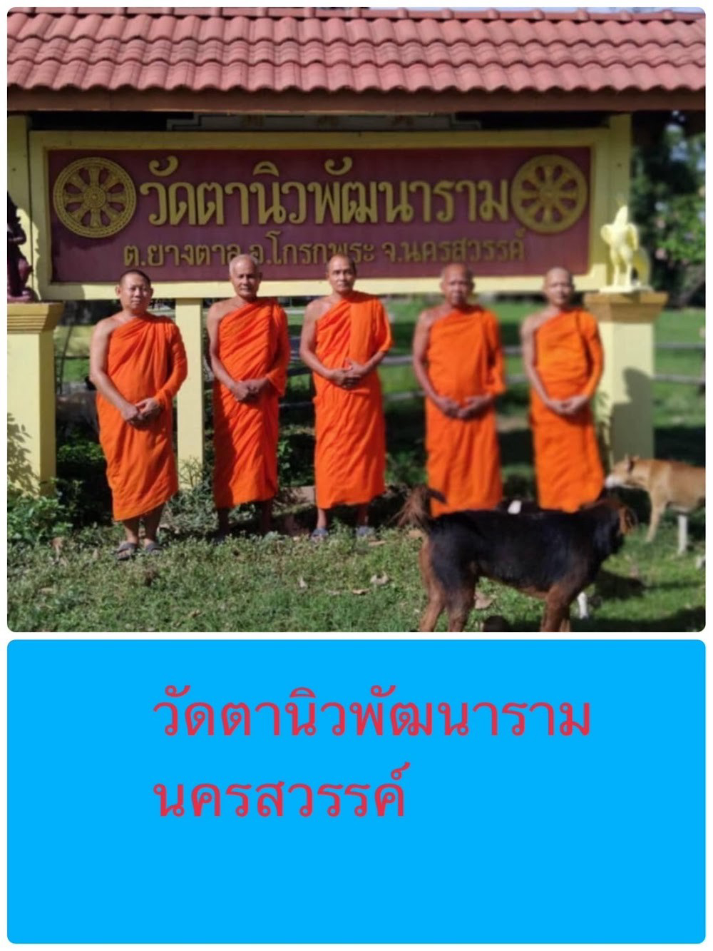 วัดตานิวพัฒนาราม