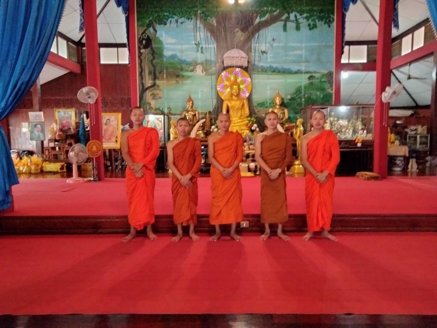 วัดป่าลาน