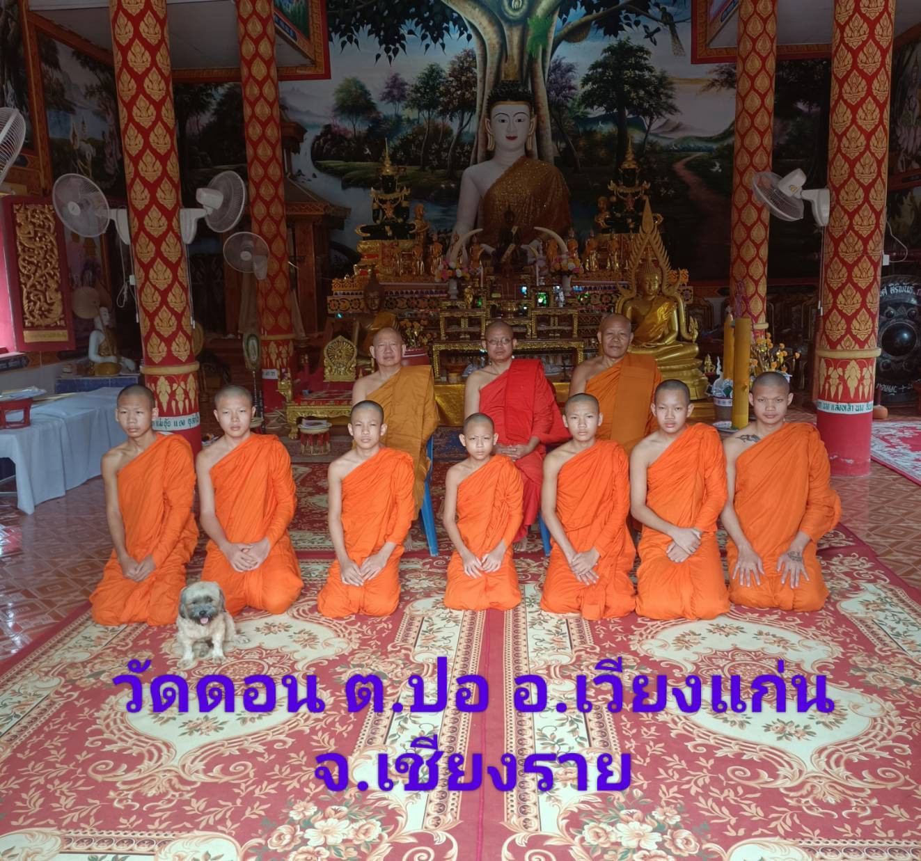 วัดดอน