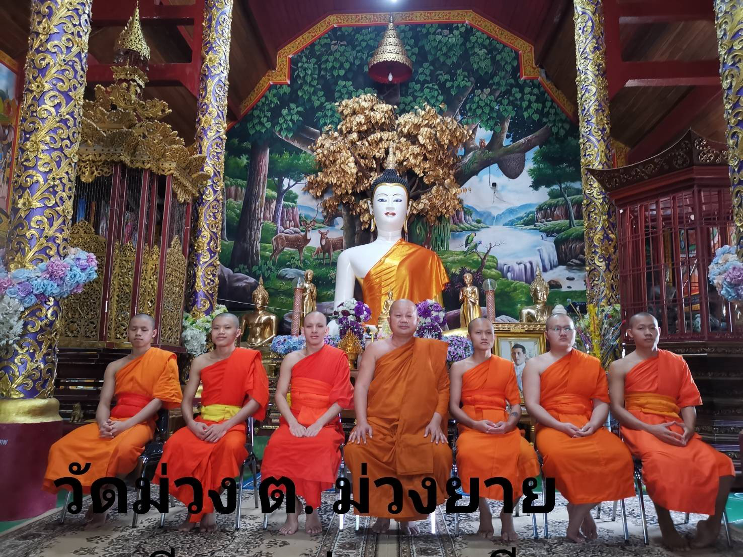 วัดม่วง