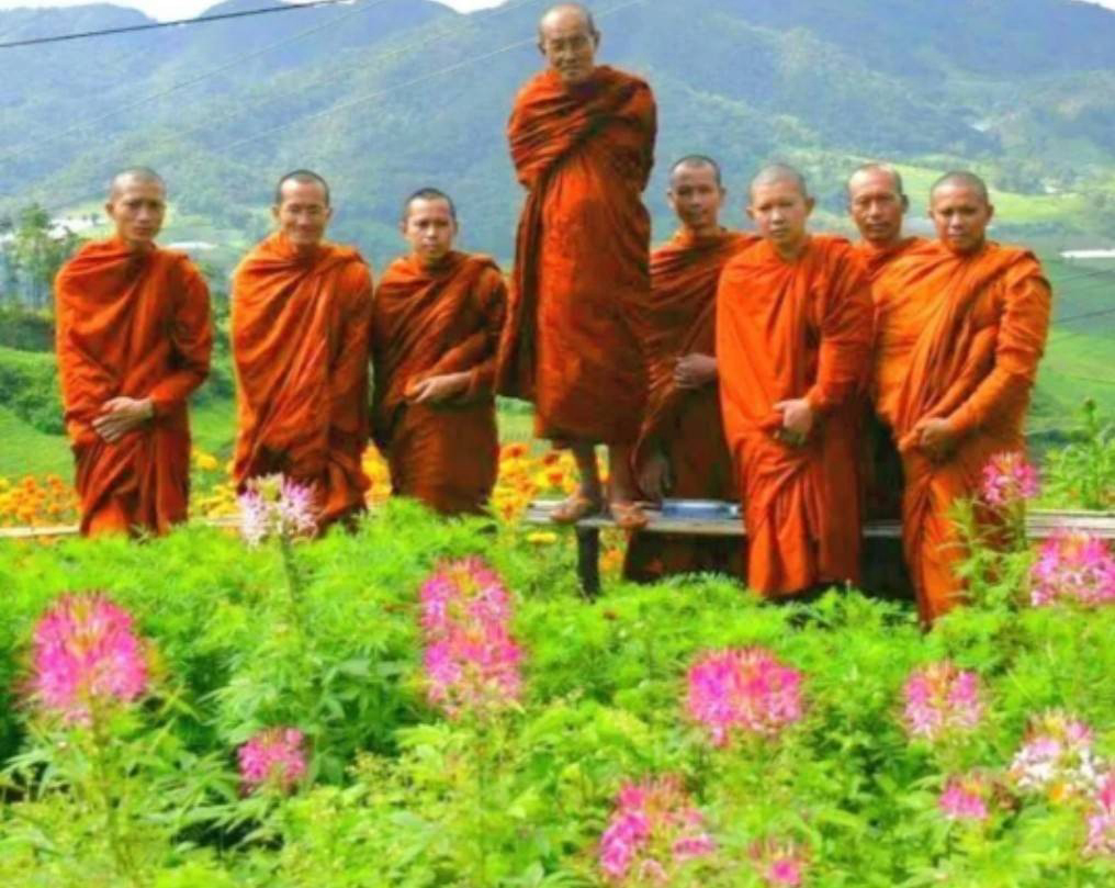 วัดศรีสมภรณ์