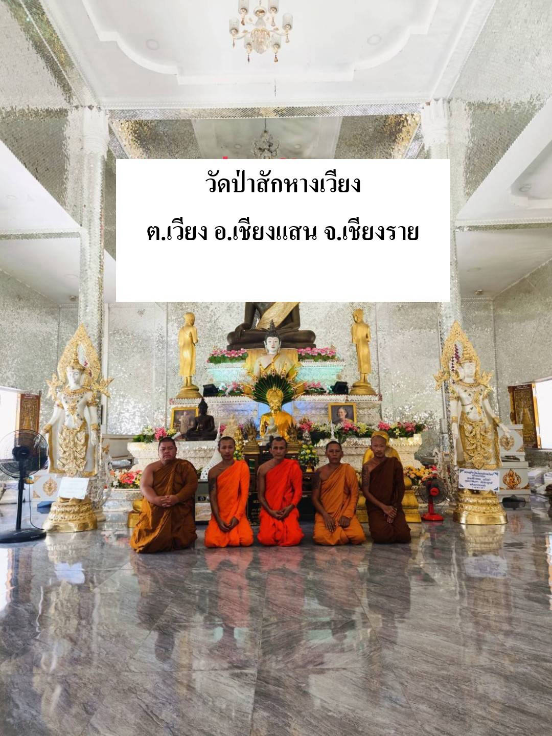 วัดป่าสักหางเวียง