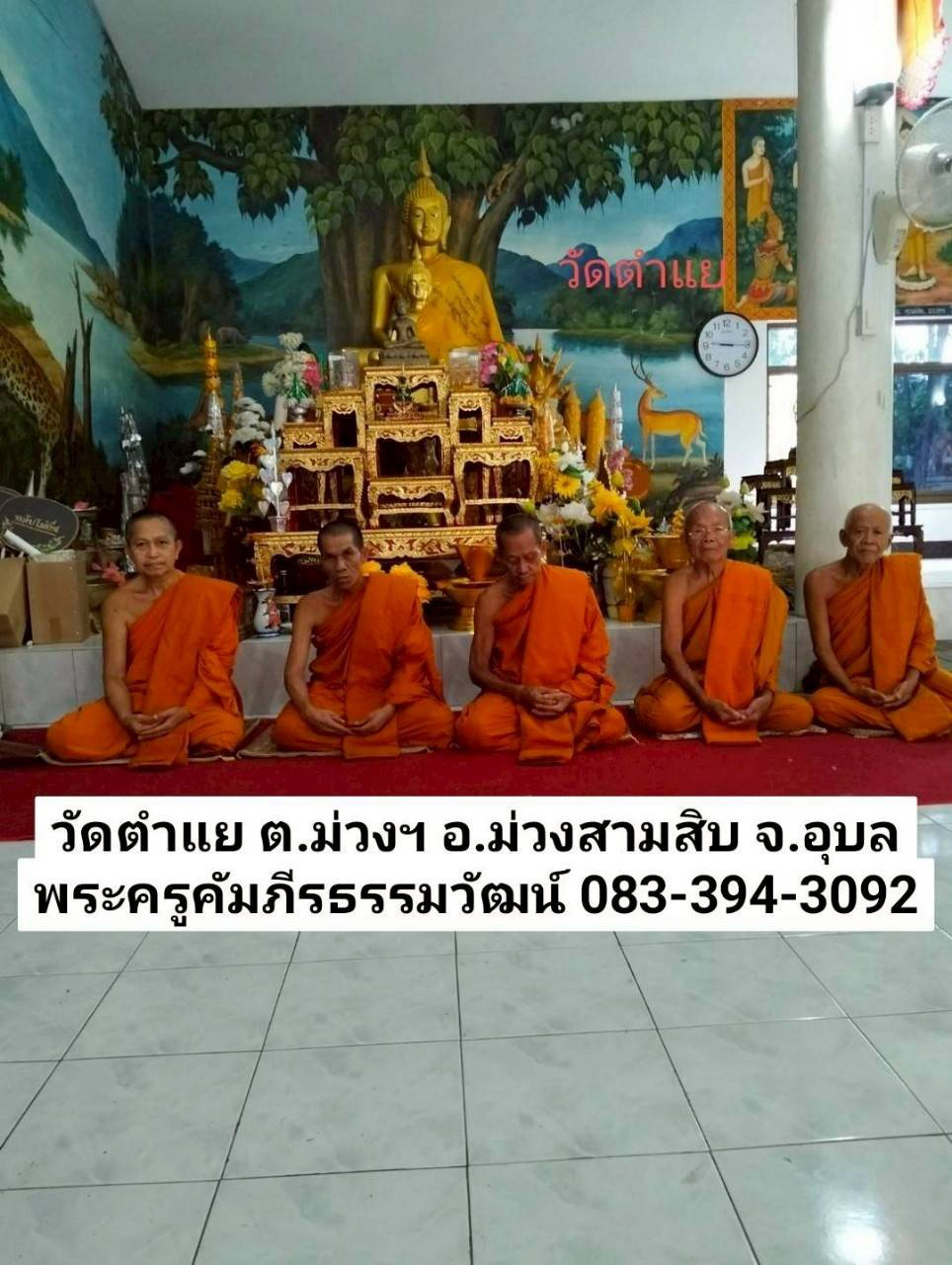 วัดตำแย