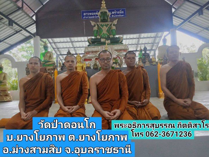 วัดป่าดอนโก