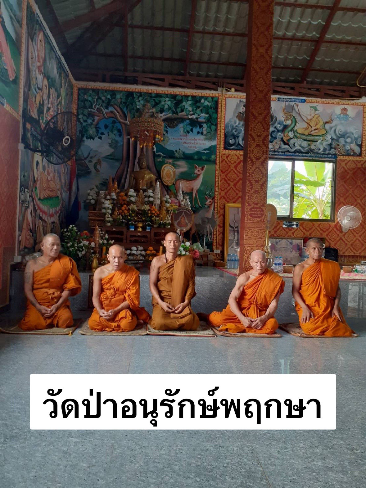 วัดป่าอนุรักษ์พฤกษา