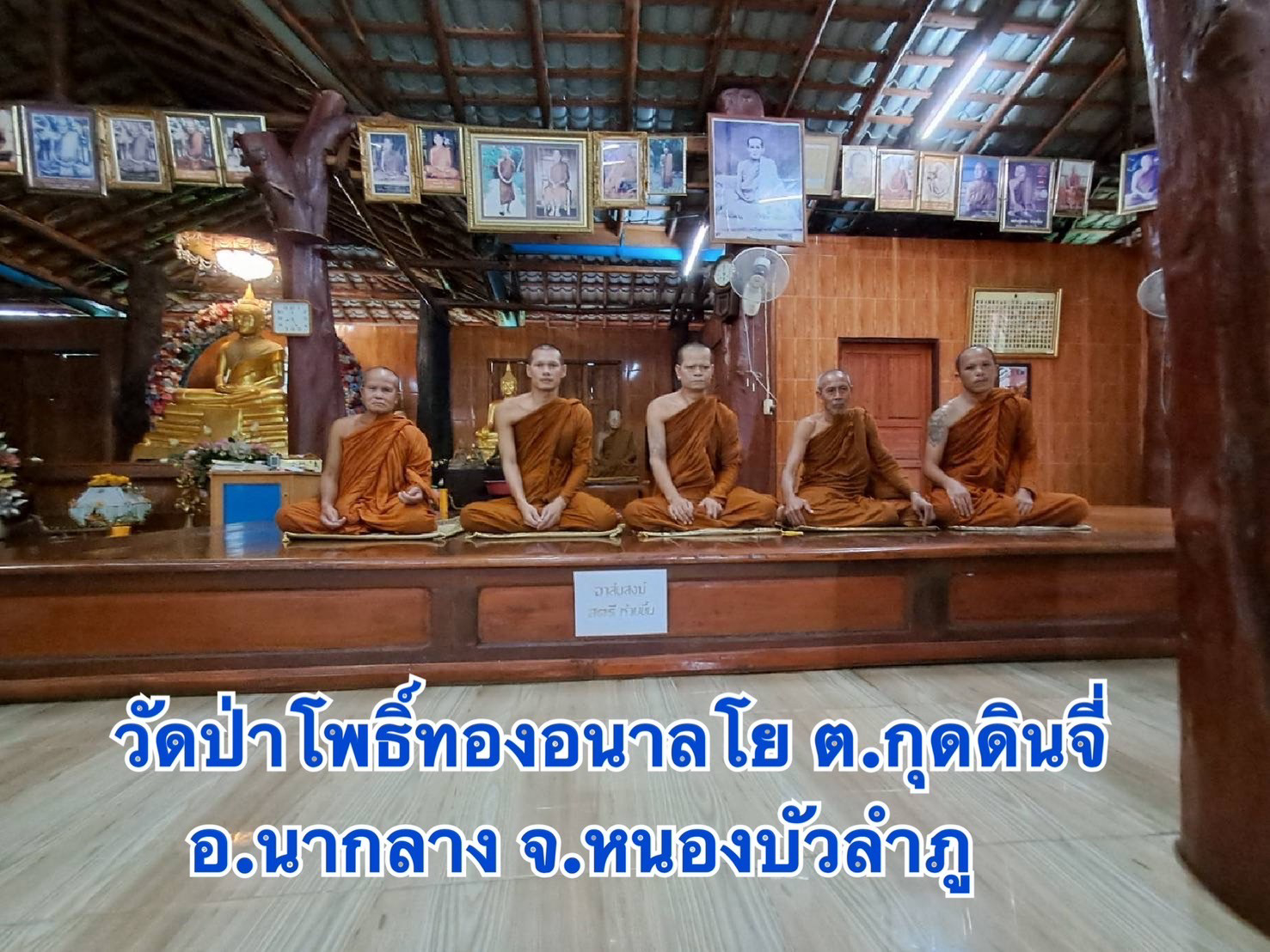 วัดป่าโพธิ์ทองอนาลโย