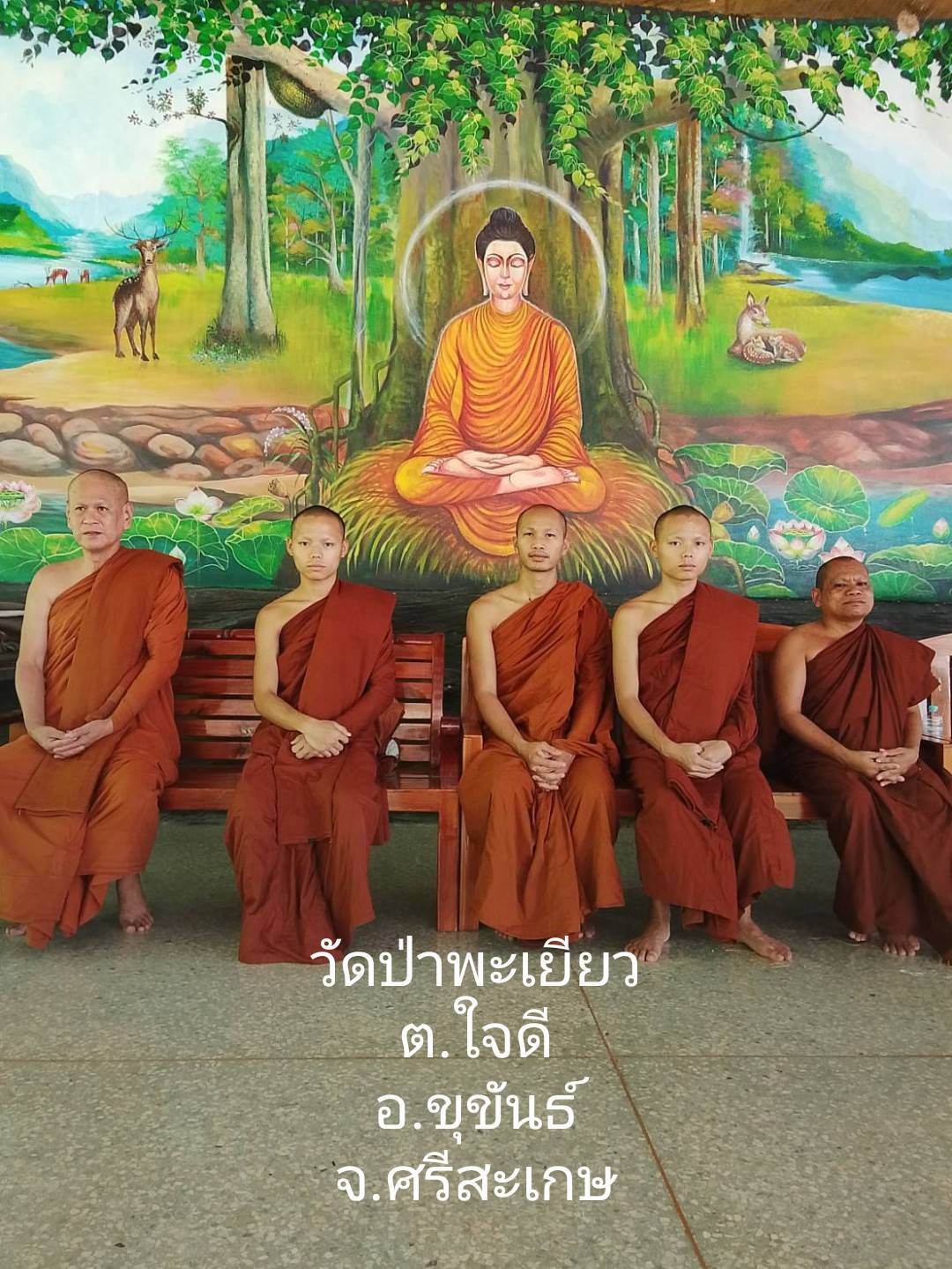 วัดป่าพะเยียว