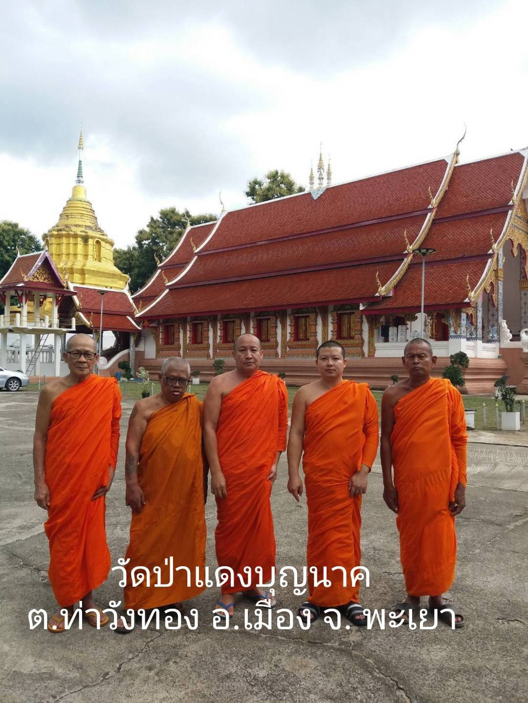 วัดป่าแดงบุญนาค