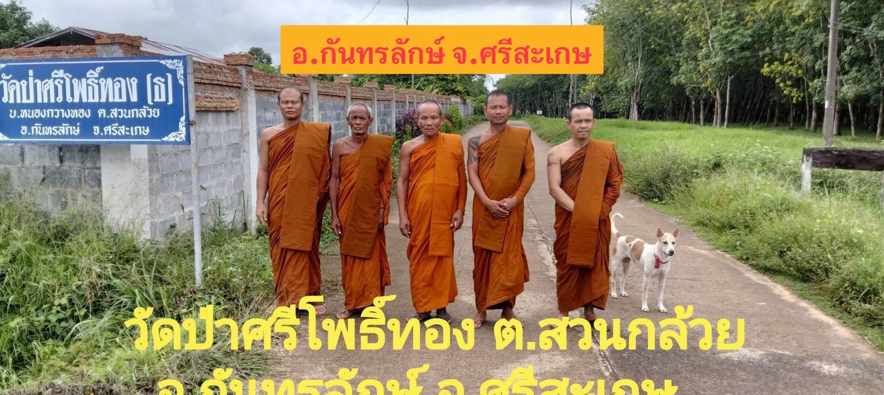 วัดป่าศรีโพธิ์ทอง (ธ)