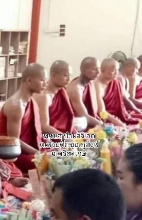 ที่พักสงฆ์ป่าผาวิเวก