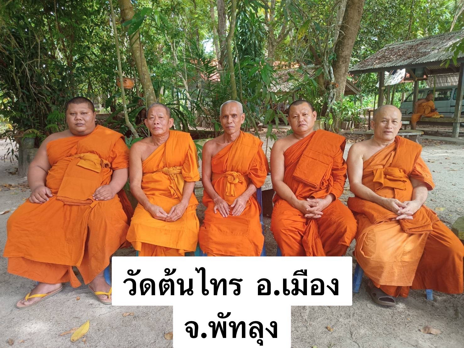 วัดต้นไทร