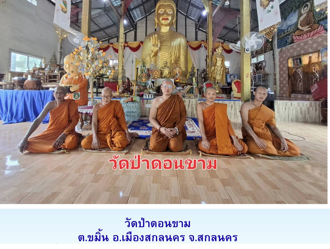 วัดป่าดอนขาม
