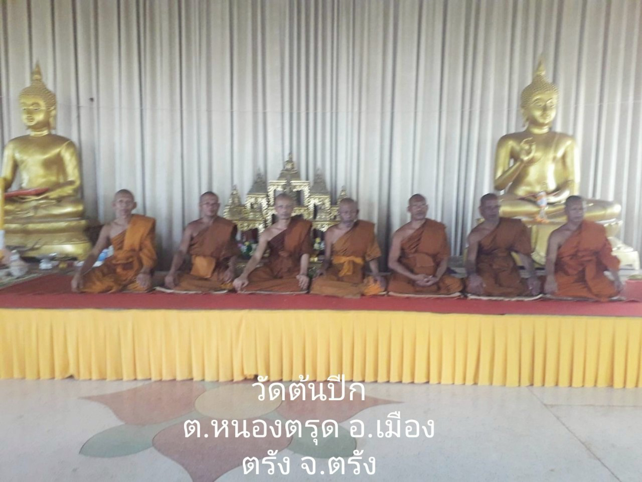 วัดต้นปีก