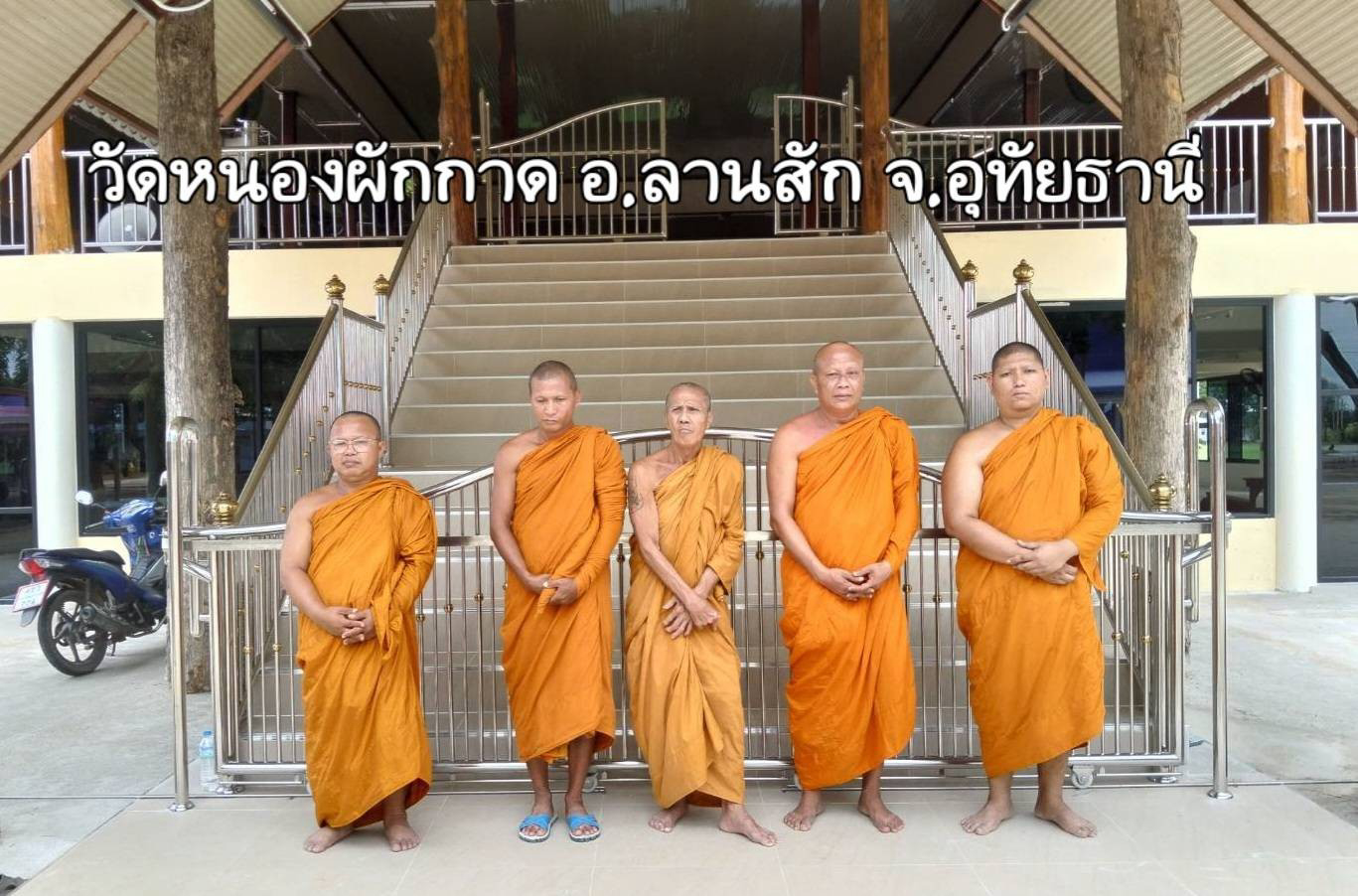 วัดหนองผักกาด