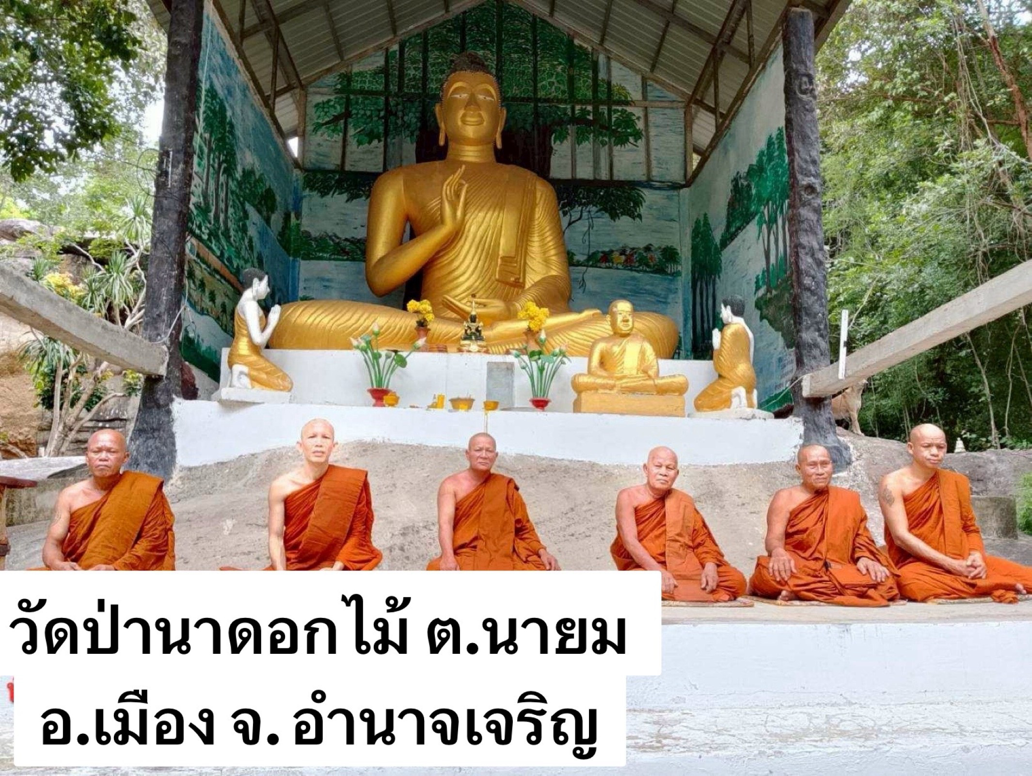 วัดป่านาดอกไม้