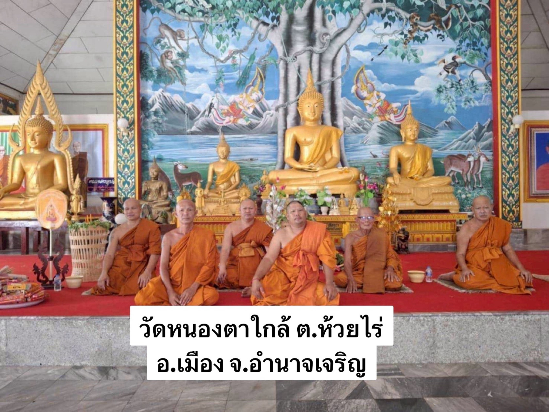 วัดหนองตาใกล้