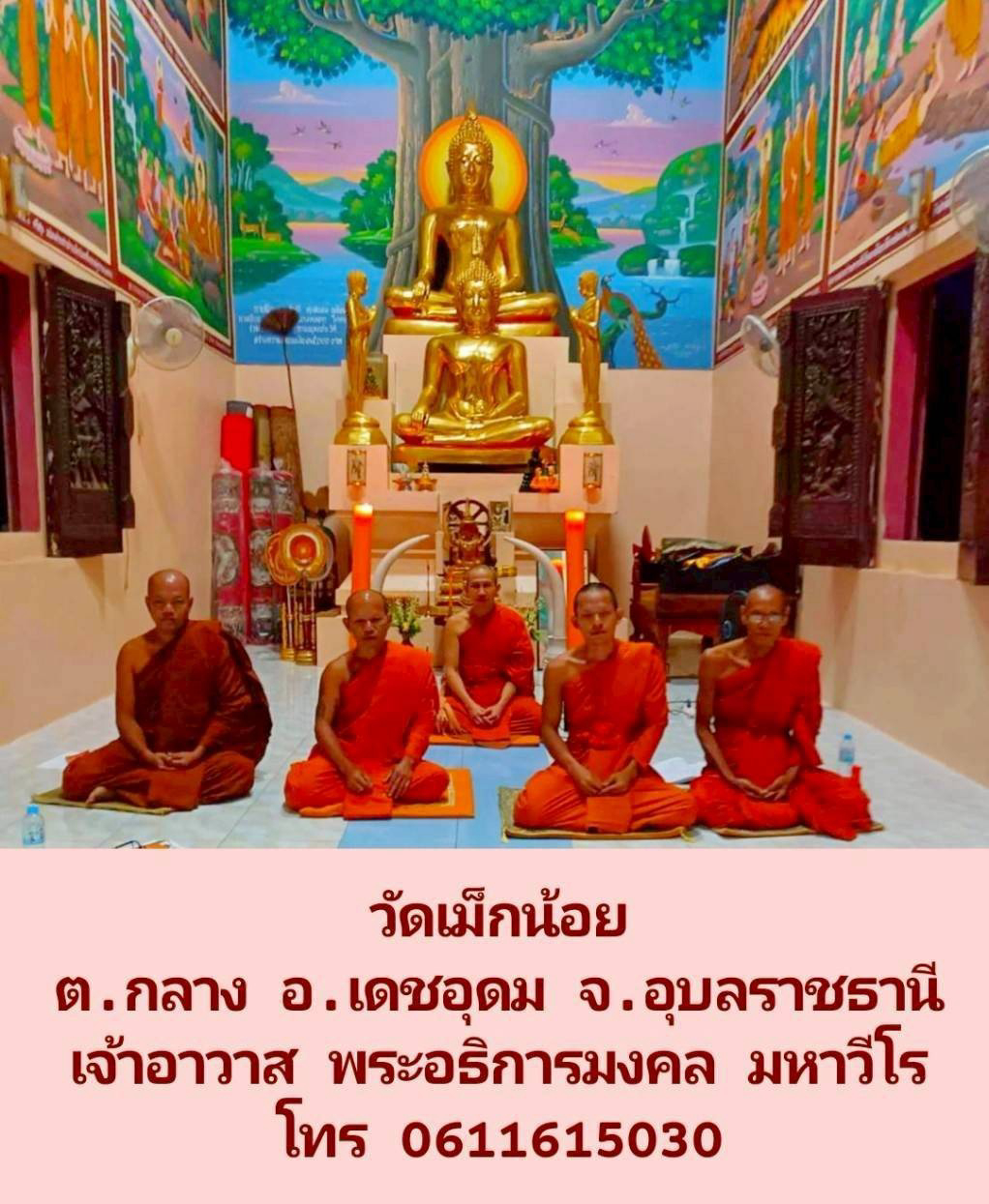 วัดเม็กน้อย