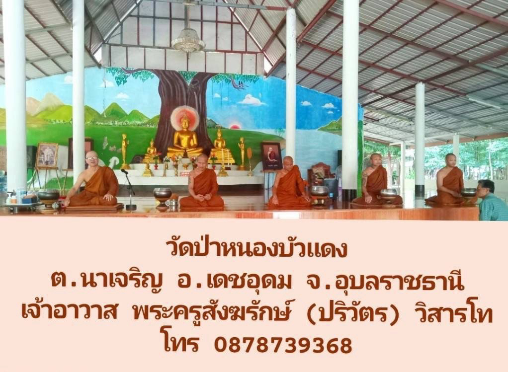 วัดป่าหนองบัวแดง