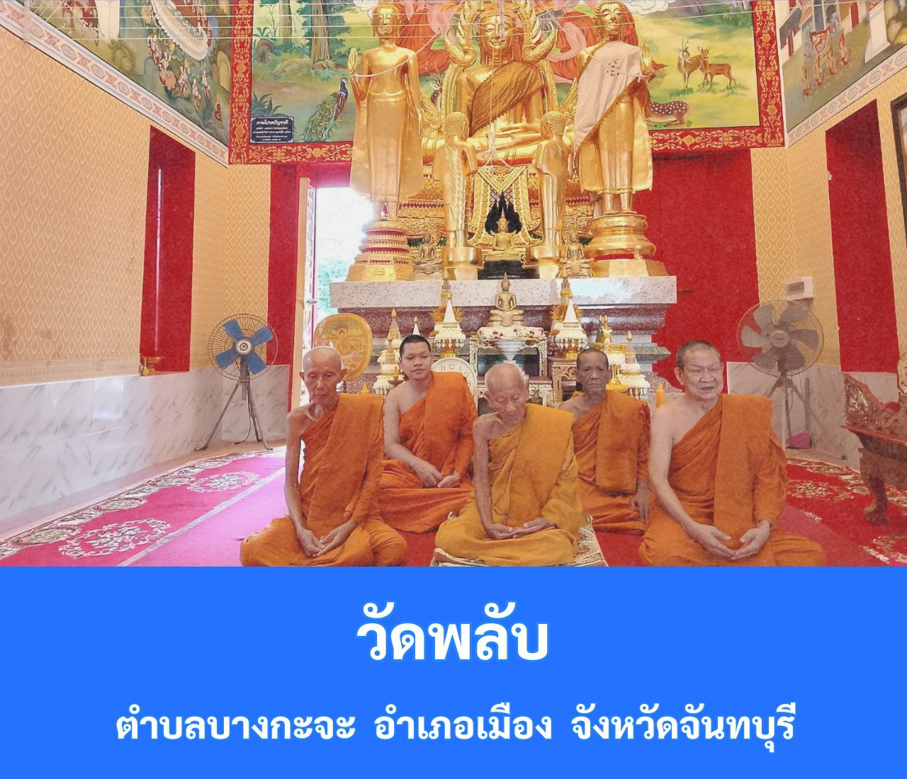 วัดพลับ