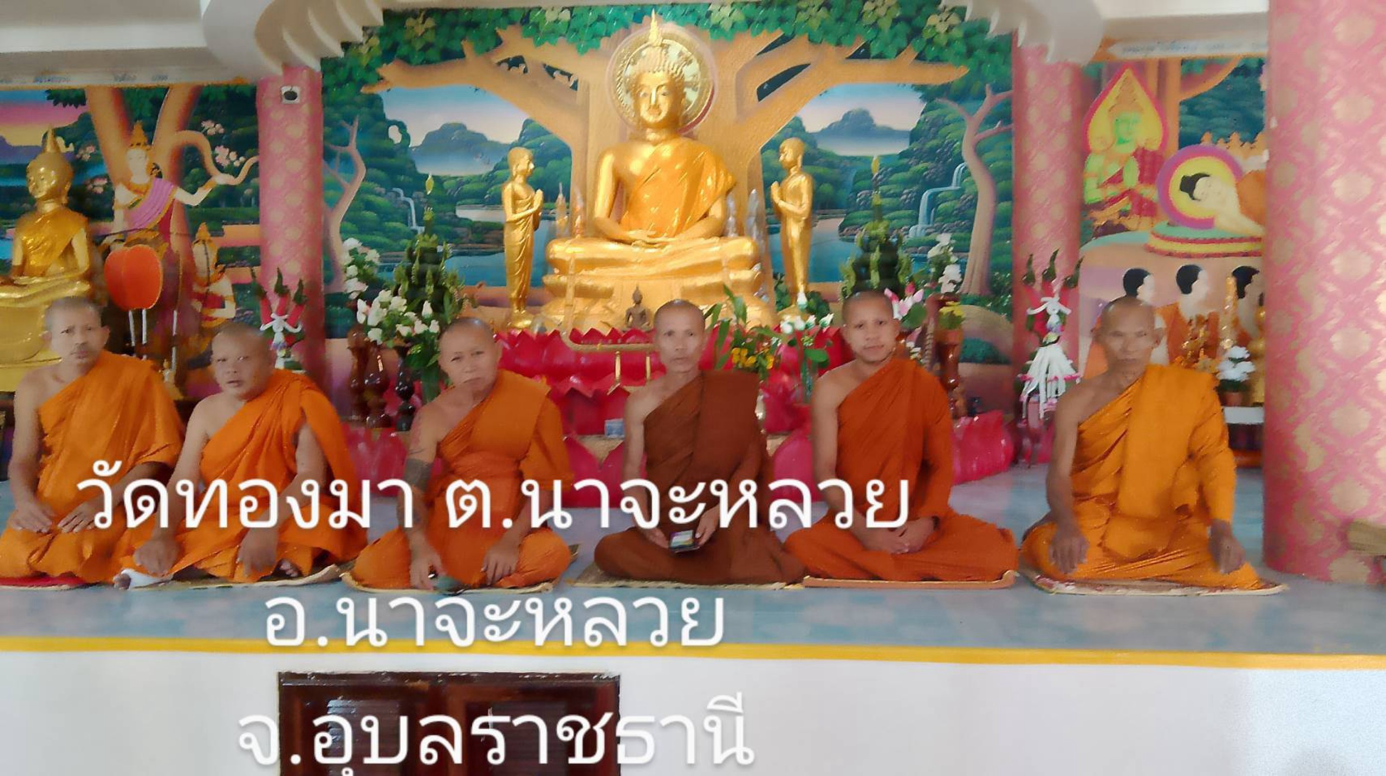 วัดทองมา