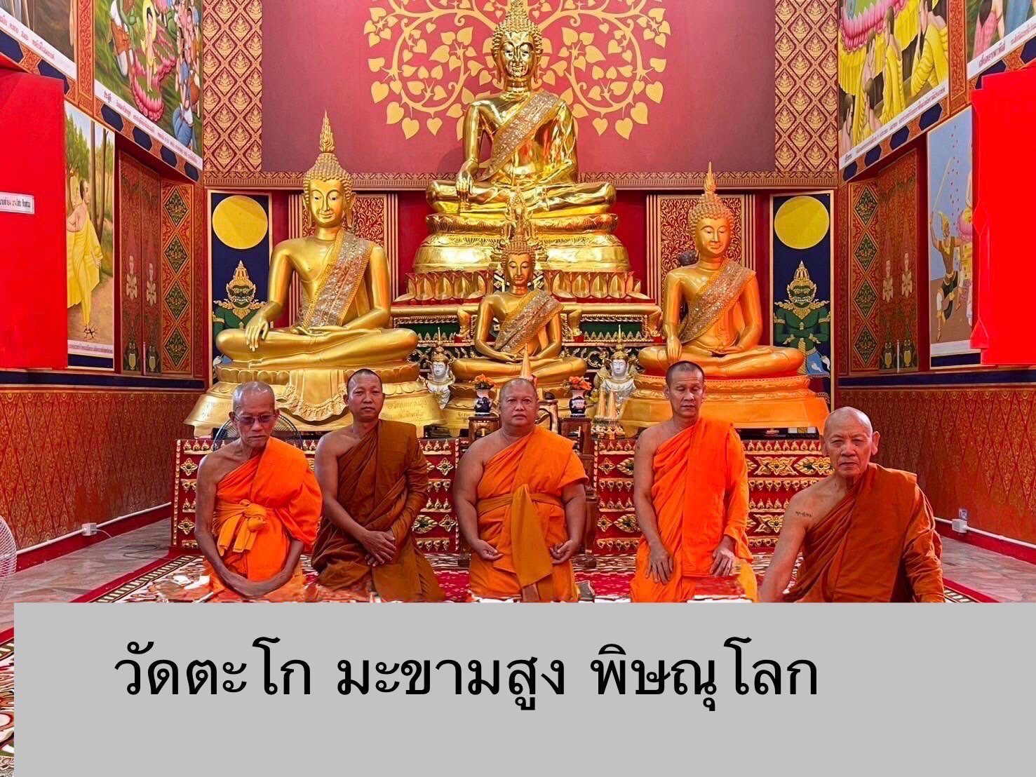 วัดตะโก