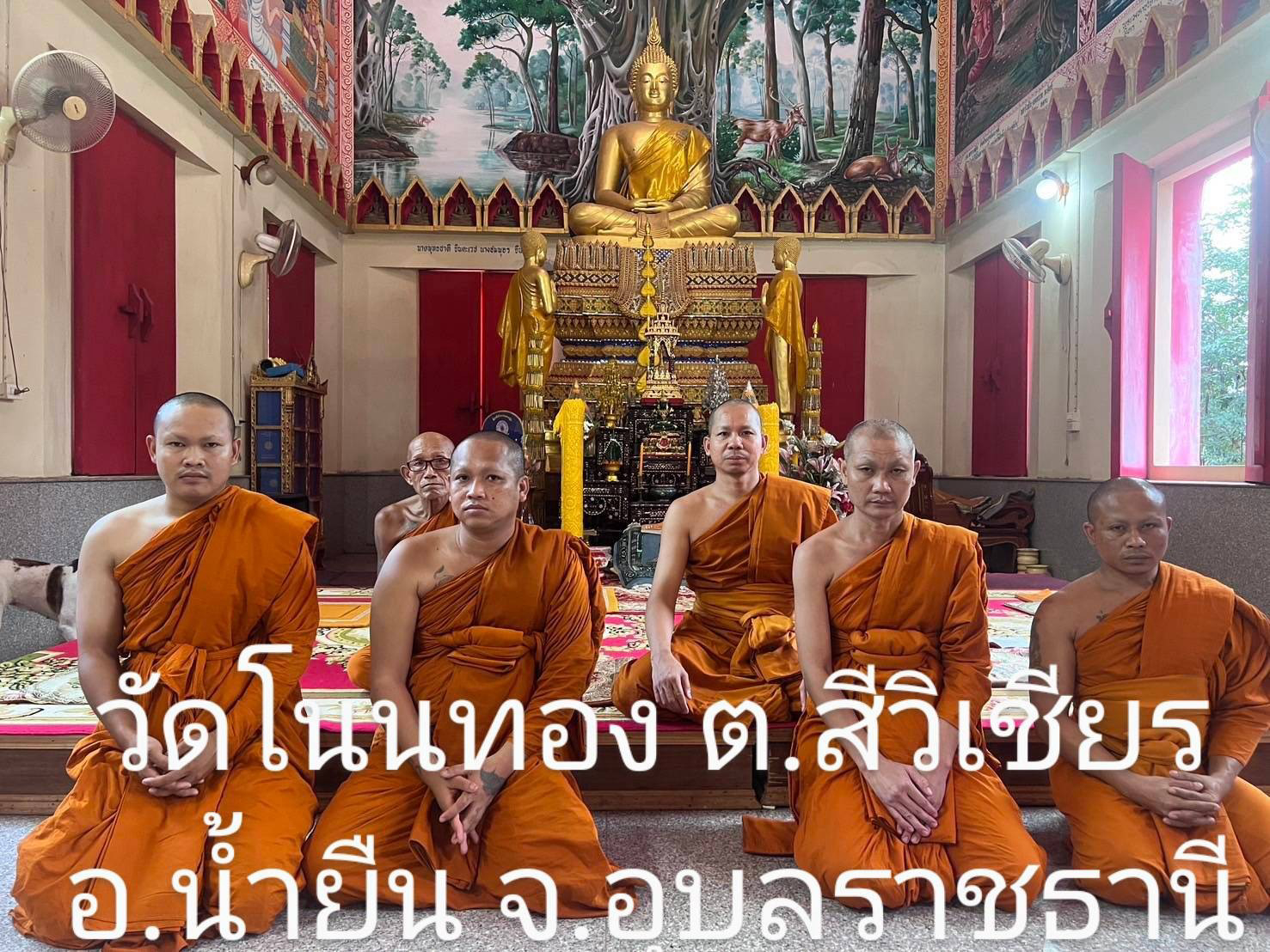 วัดโนนทอง