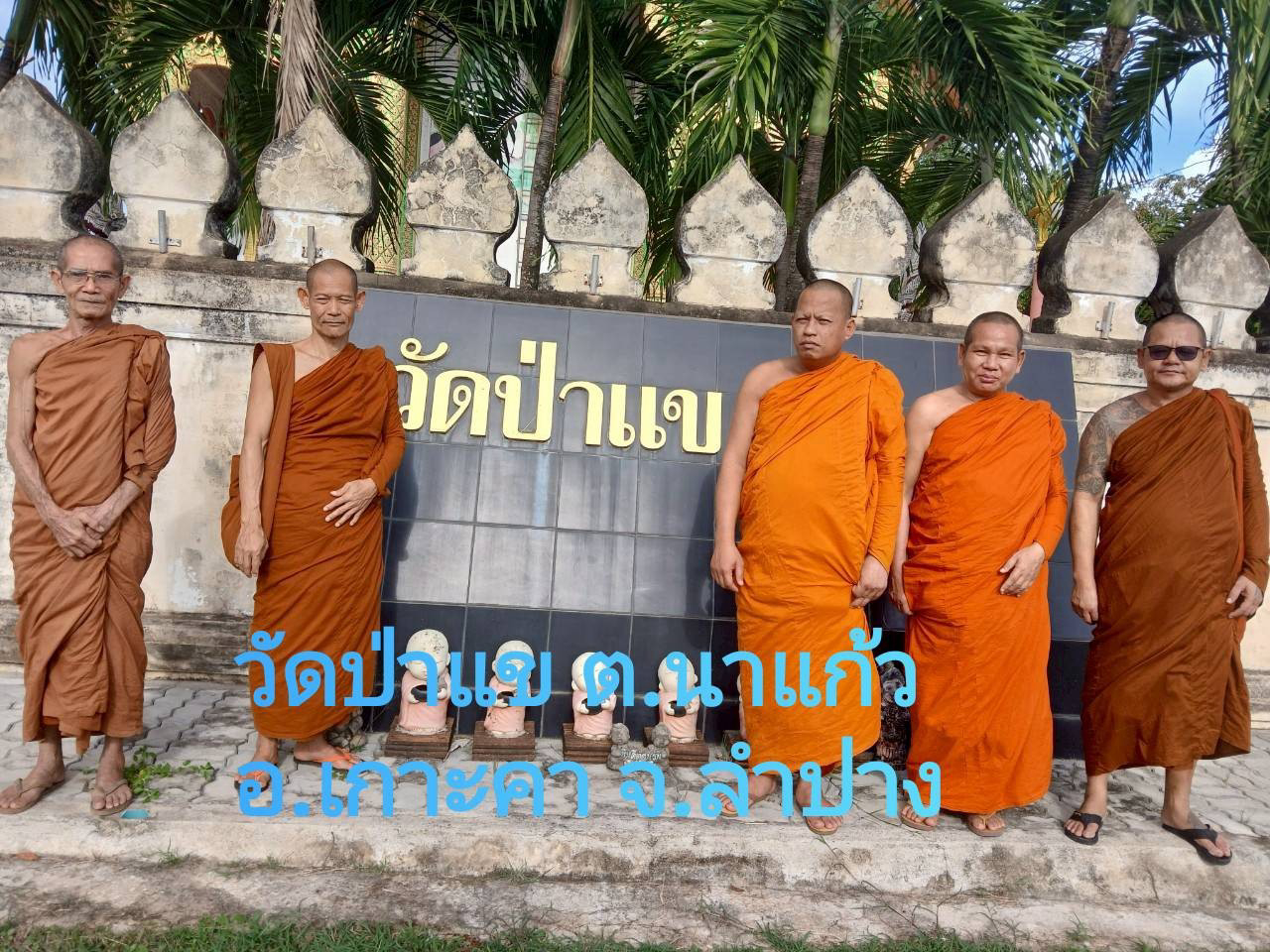 วัดป่าแข