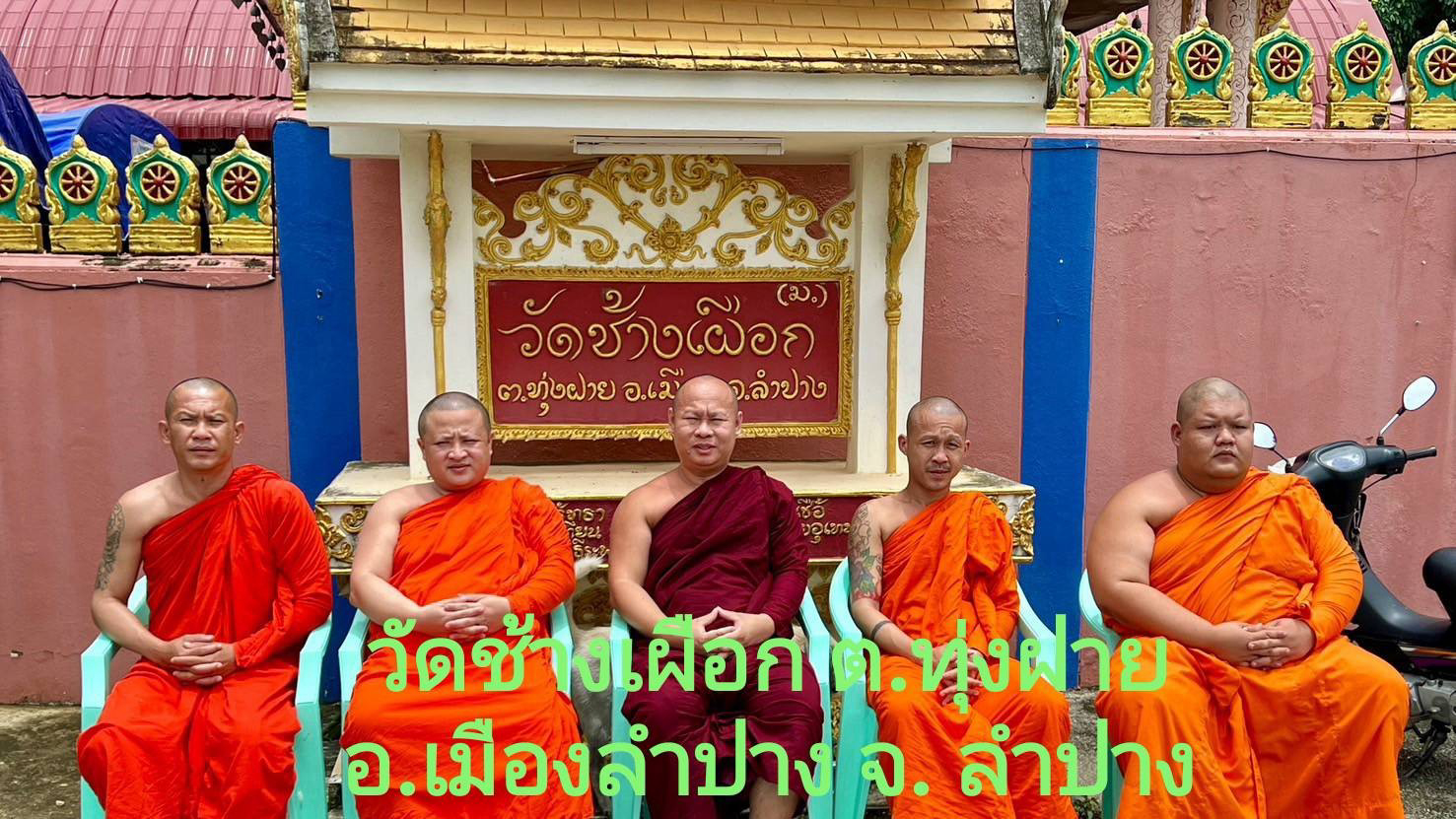 วัดช้างเผือก