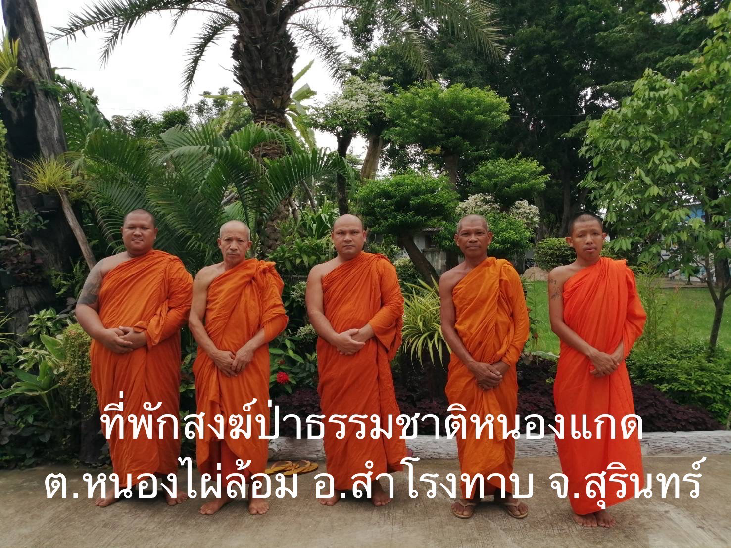 ที่พักสงฆ์ป่าธรรมชาติหนองแกด
