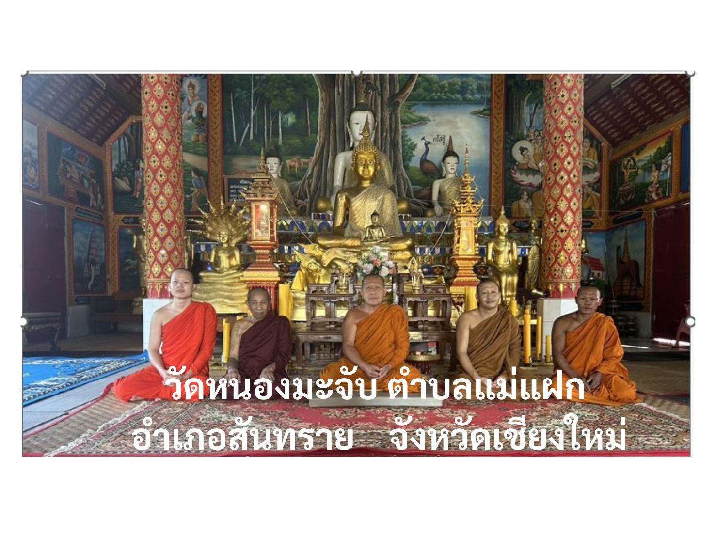 วัดหนองมะจับ