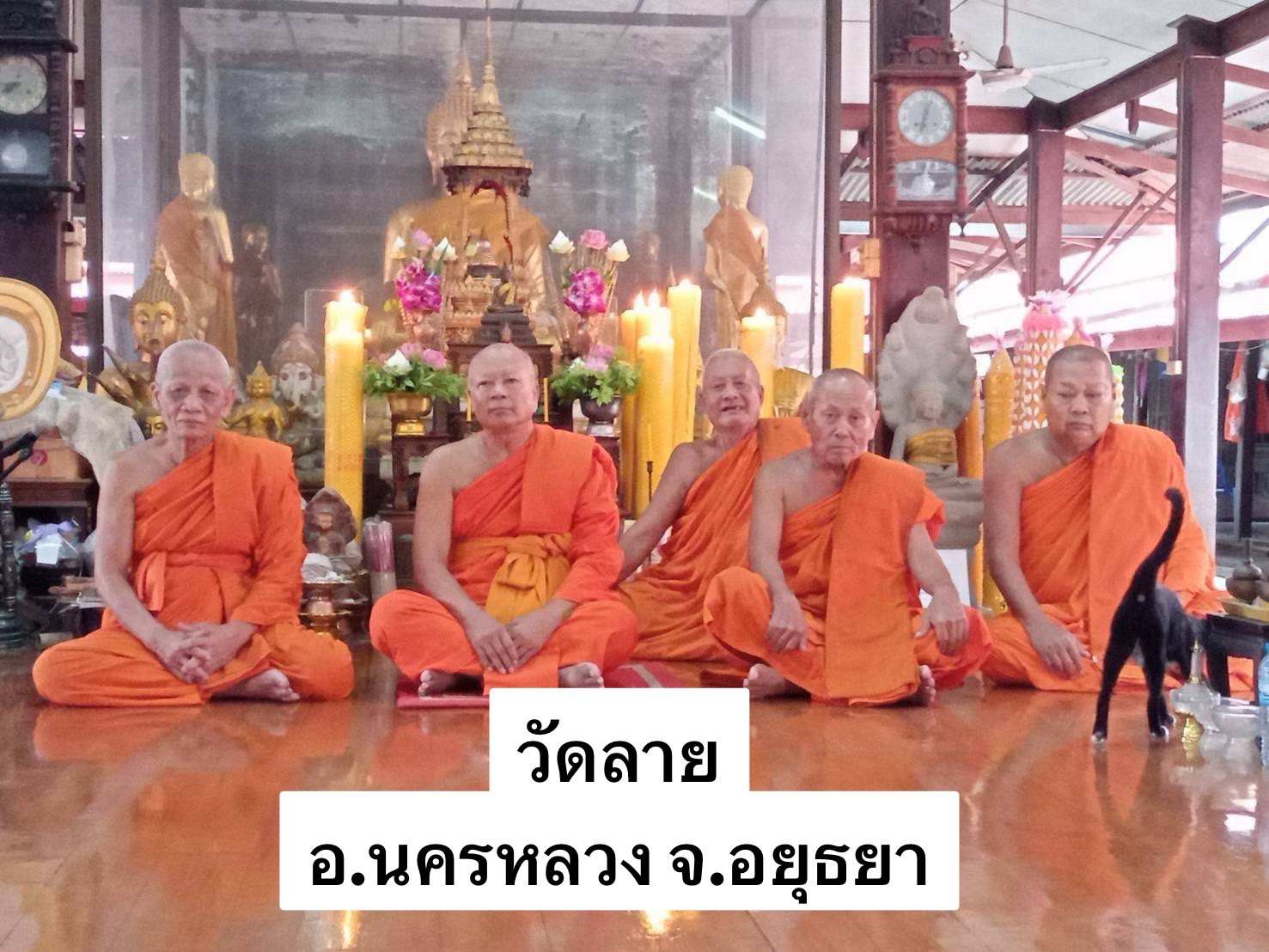 วัดลาย