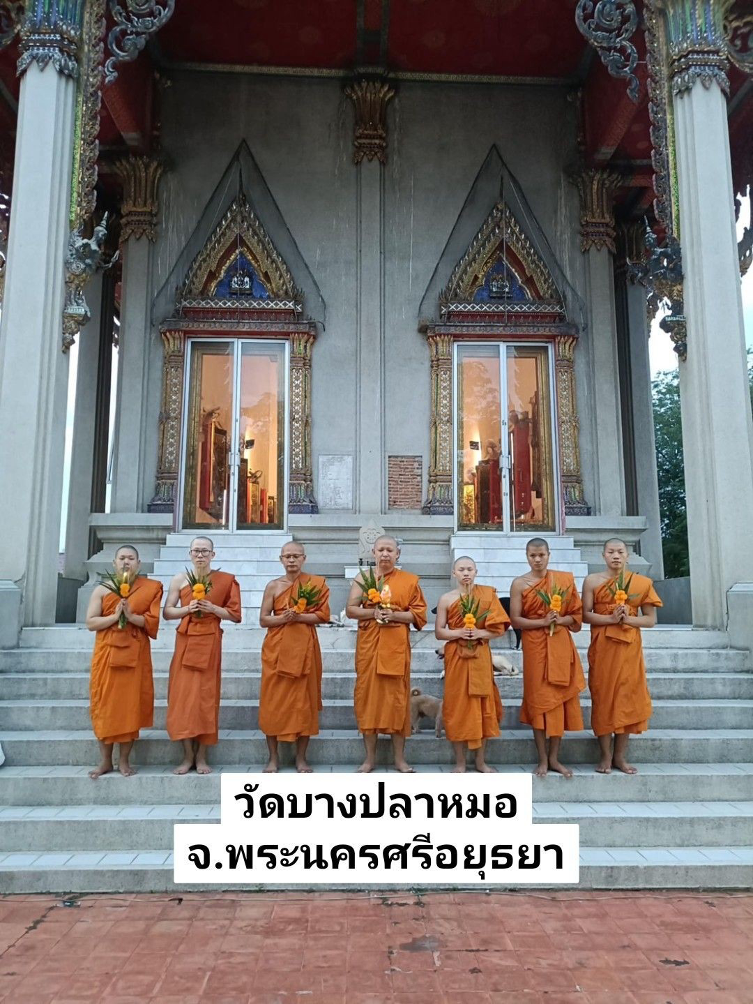 วัดบางปลาหมอ