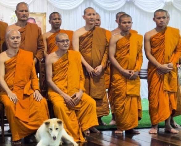 วัดลิเจีย