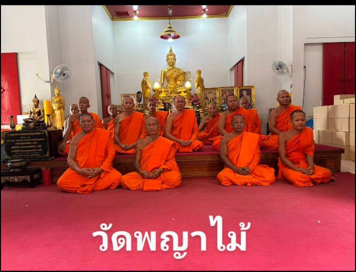 วัดพญาไม้