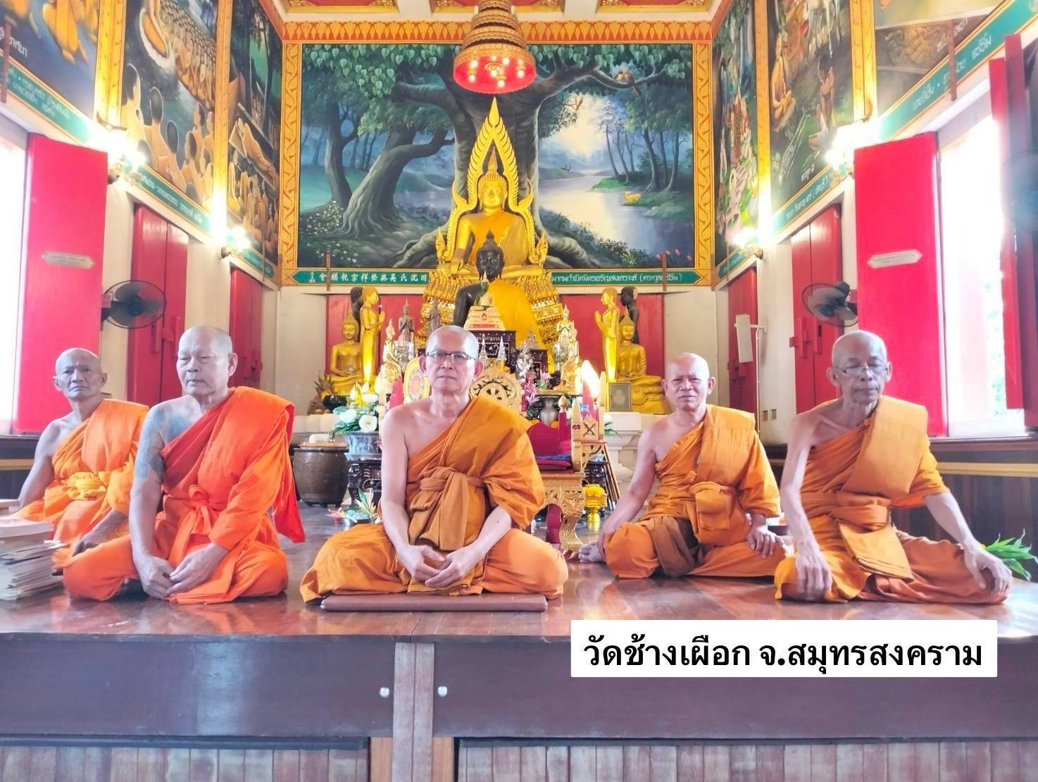 วัดช้างเผือก