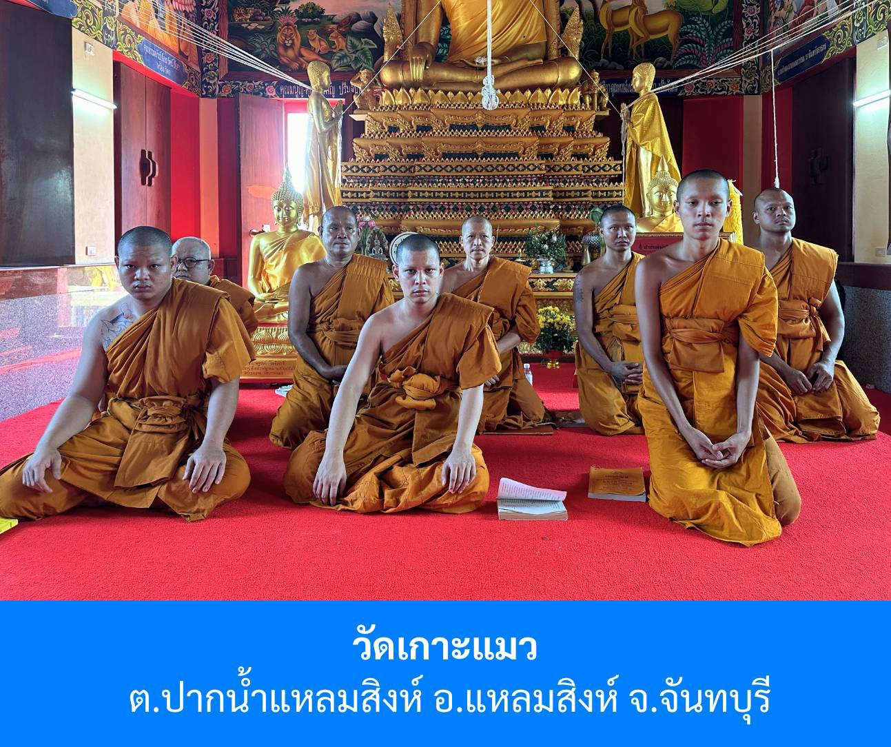 วัดเกาะแมว