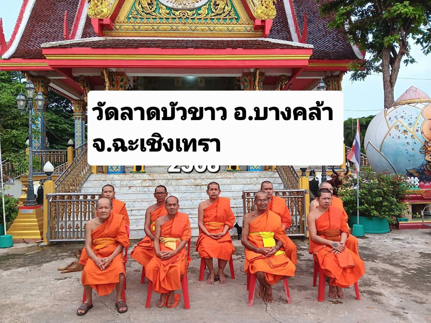 วัดลาดบัวขาว