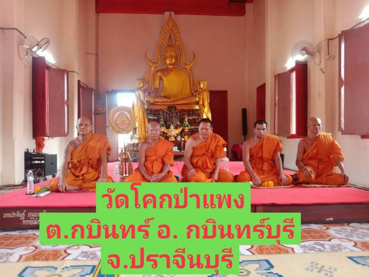 วัดโคกป่าแพง