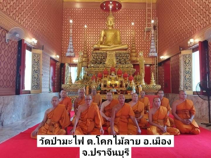 วัดป่ามะไฟ