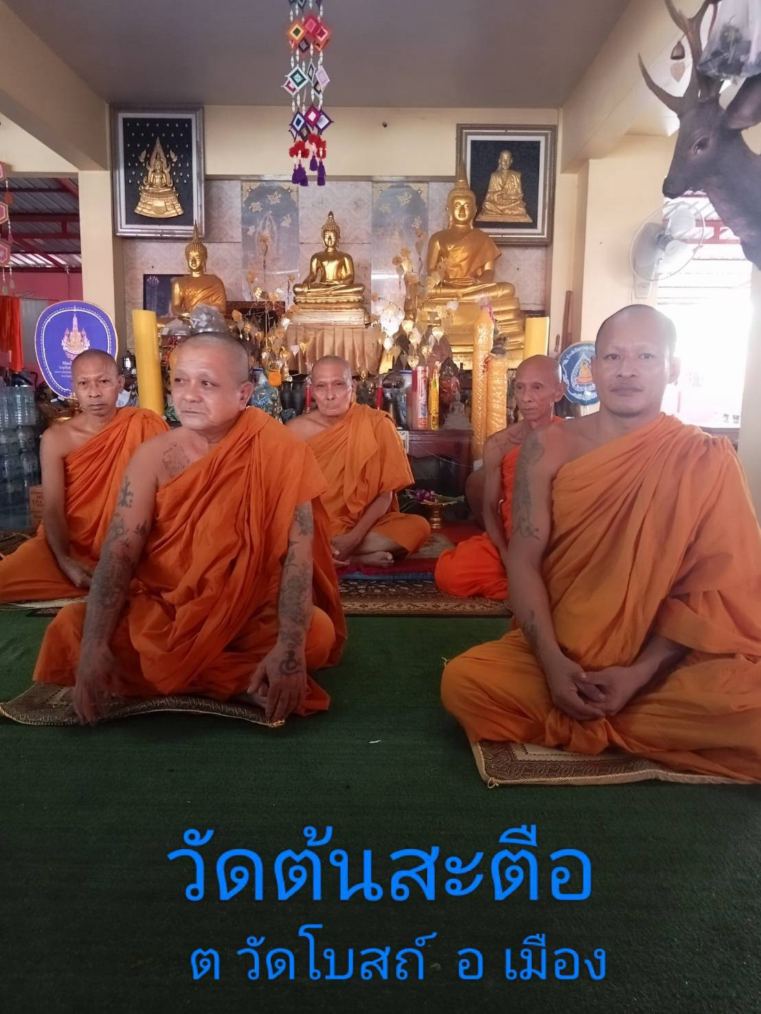 วัดต้นสะตือ