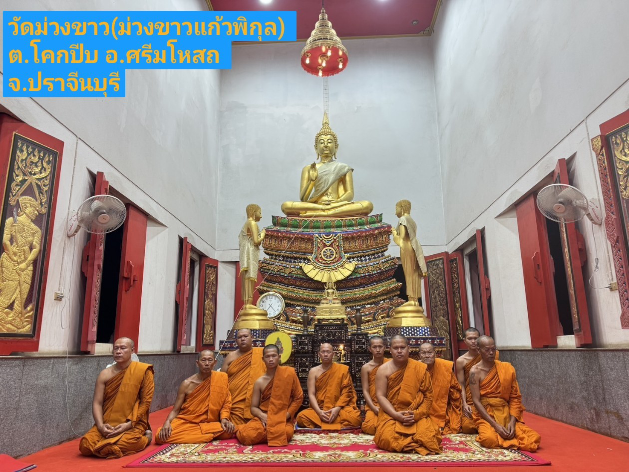 วัดม่วงขาว(ม่วงขาวแก้วพิกุล)