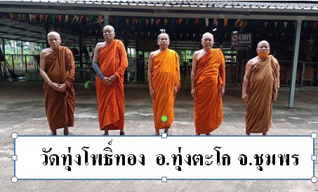 วัดทุ่งโพธิ์ทอง